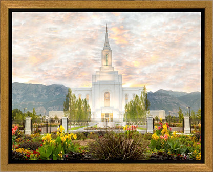 Orem Utah Sunrise Flowers
