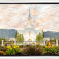 Orem Utah Sunrise Flowers