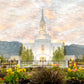 Orem Utah Sunrise Flowers