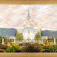Orem Utah Sunrise Flowers