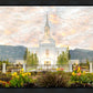 Orem Utah Sunrise Flowers