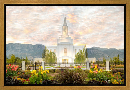 Orem Utah Sunrise Flowers