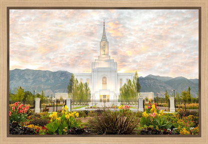 Orem Utah Sunrise Flowers