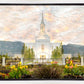 Orem Utah Sunrise Flowers