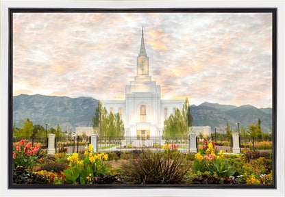 Orem Utah Sunrise Flowers