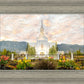 Orem Utah Sunrise Flowers