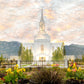 Orem Utah Sunrise Flowers