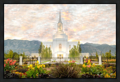 Orem Utah Sunrise Flowers