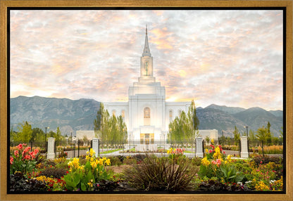 Orem Utah Sunrise Flowers