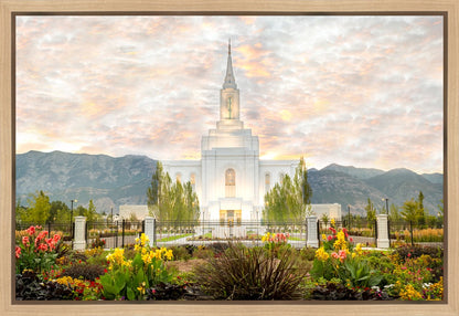 Orem Utah Sunrise Flowers