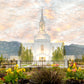 Orem Utah Sunrise Flowers