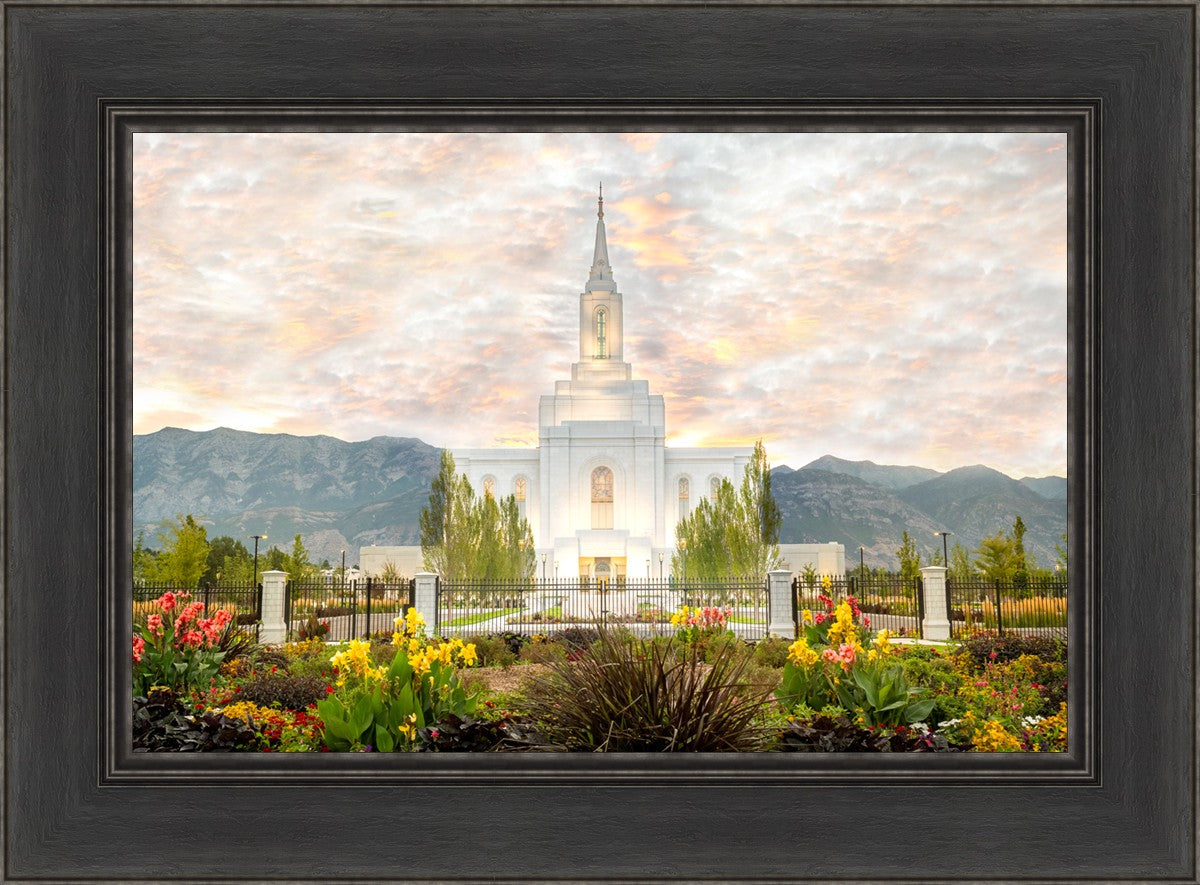 Orem Utah Sunrise Flowers