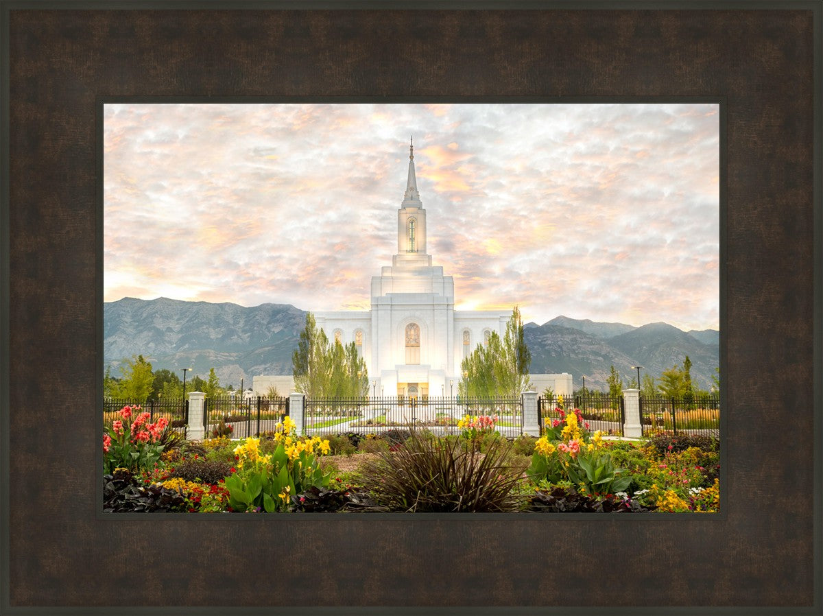 Orem Utah Sunrise Flowers