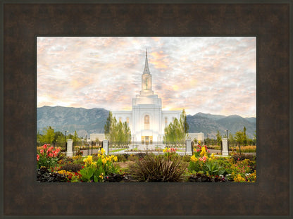 Orem Utah Sunrise Flowers