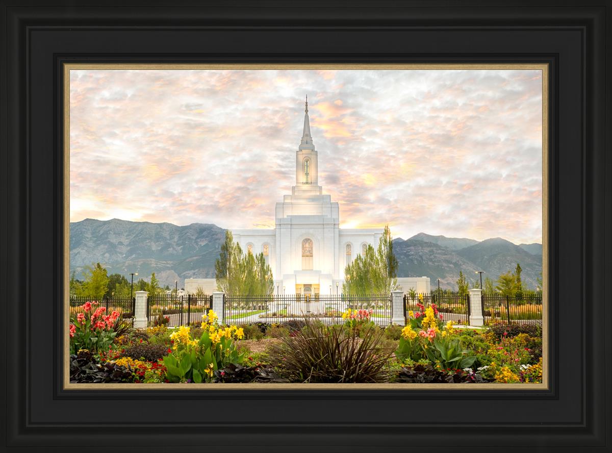 Orem Utah Sunrise Flowers