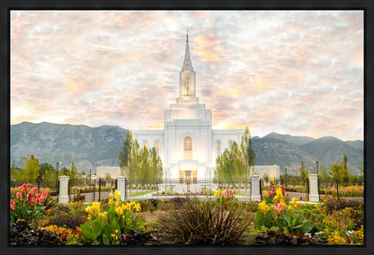 Orem Utah Sunrise Flowers