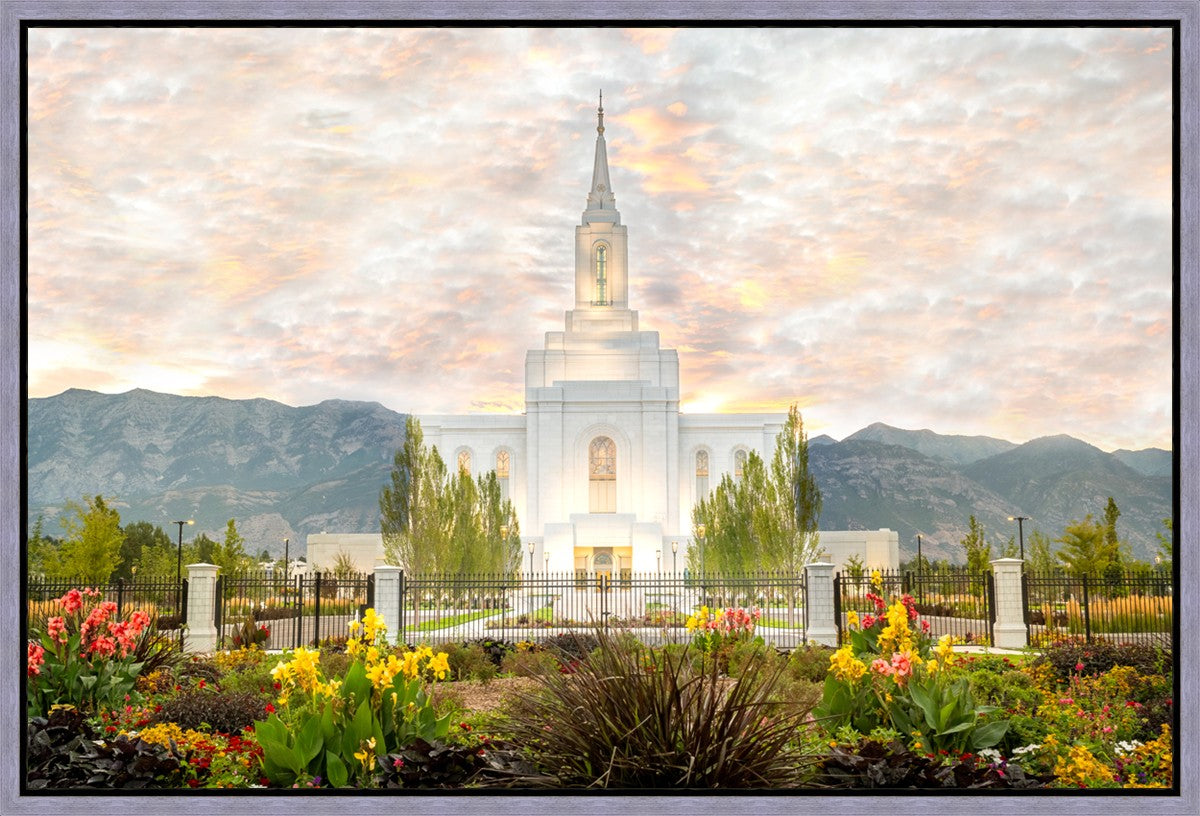 Orem Utah Sunrise Flowers