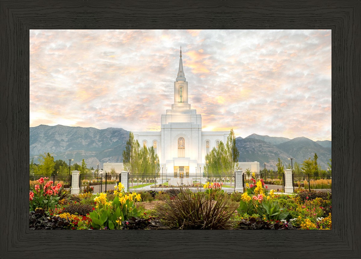 Orem Utah Sunrise Flowers