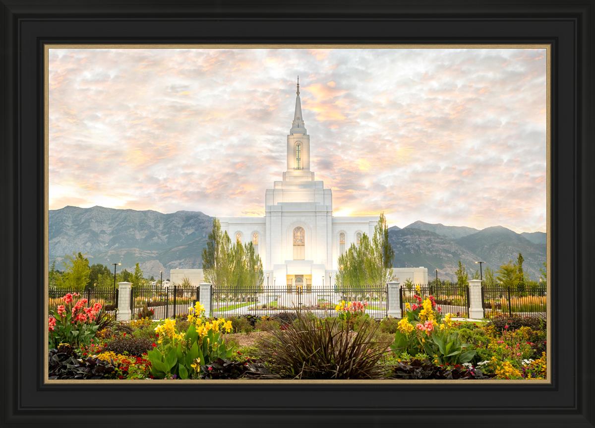 Orem Utah Sunrise Flowers