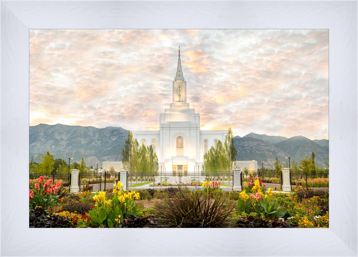 Orem Utah Sunrise Flowers