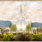 Orem Utah Sunrise Flowers