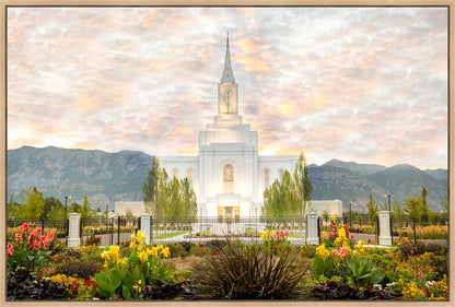 Orem Utah Sunrise Flowers