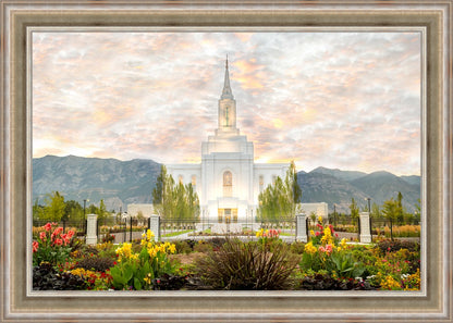 Orem Utah Sunrise Flowers