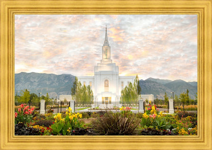 Orem Utah Sunrise Flowers