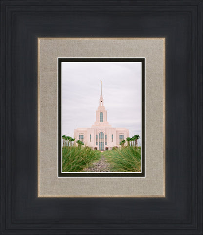 Red Cliffs Utah Palm Trees