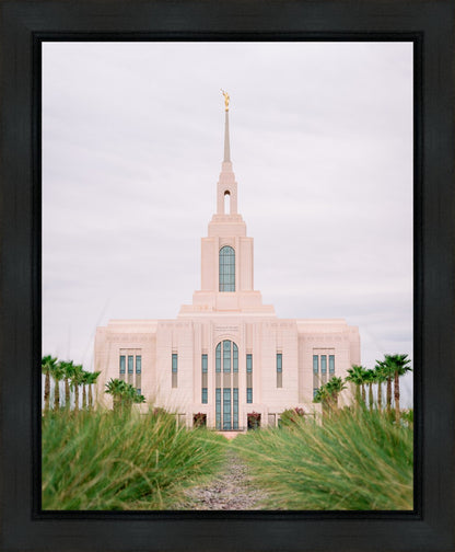 Red Cliffs Utah Palm Trees