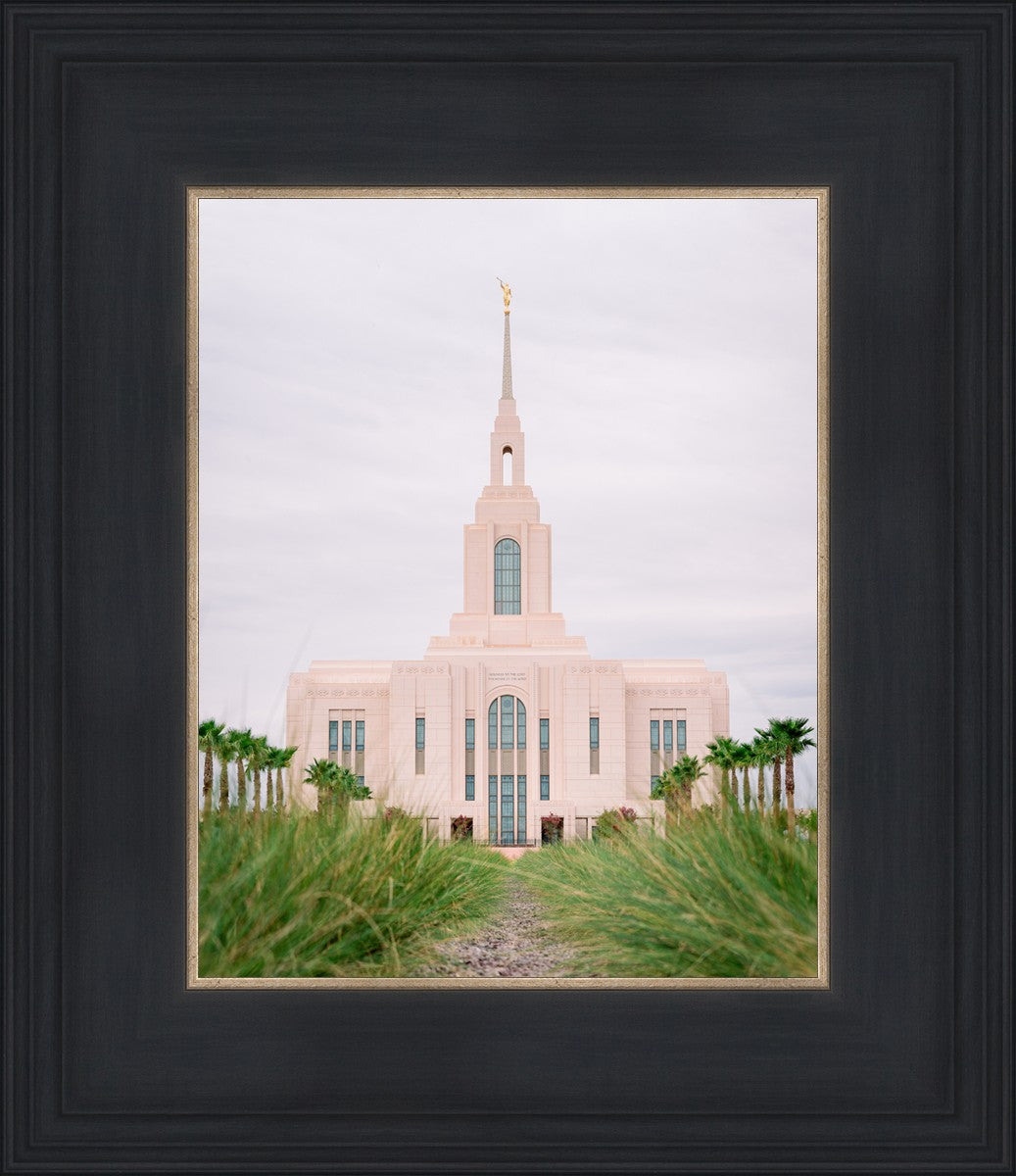 Red Cliffs Utah Palm Trees