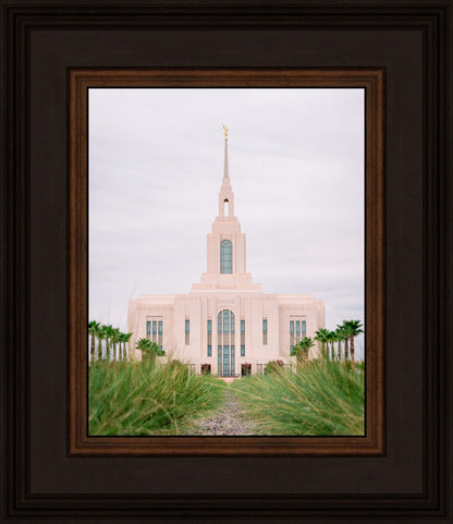Red Cliffs Utah Palm Trees