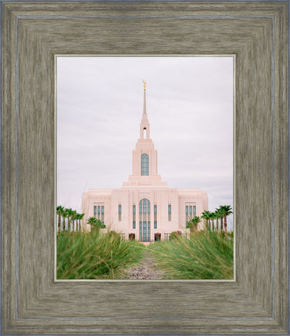 Red Cliffs Utah Palm Trees