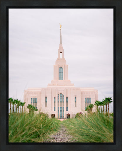 Red Cliffs Utah Palm Trees
