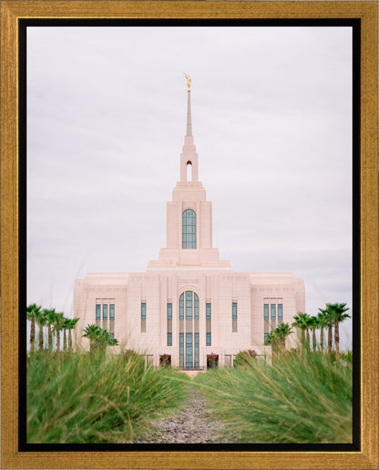 Red Cliffs Utah Palm Trees