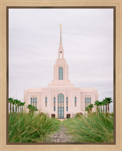 Red Cliffs Utah Palm Trees
