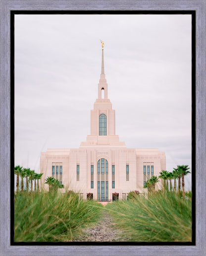 Red Cliffs Utah Palm Trees