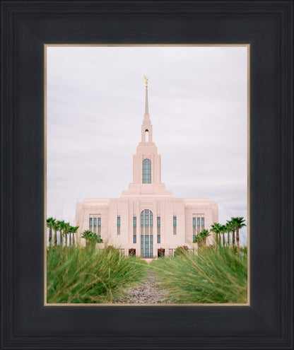 Red Cliffs Utah Palm Trees