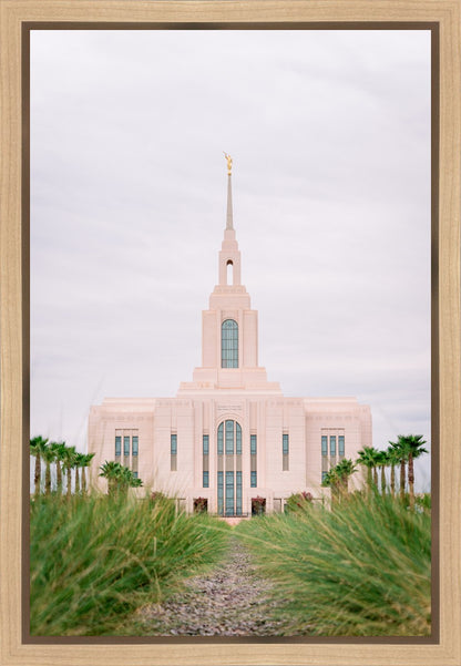 Red Cliffs Utah Palm Trees