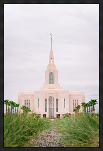 Red Cliffs Utah Palm Trees