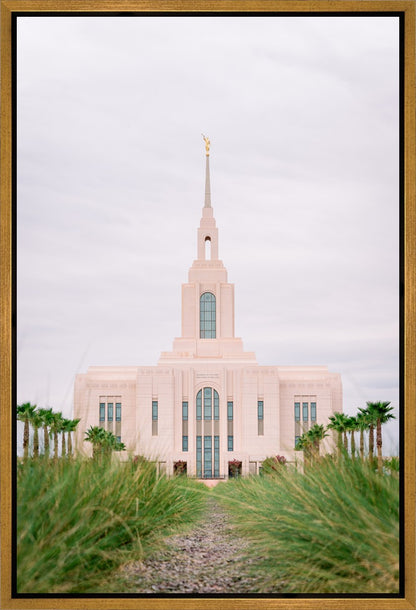 Red Cliffs Utah Palm Trees