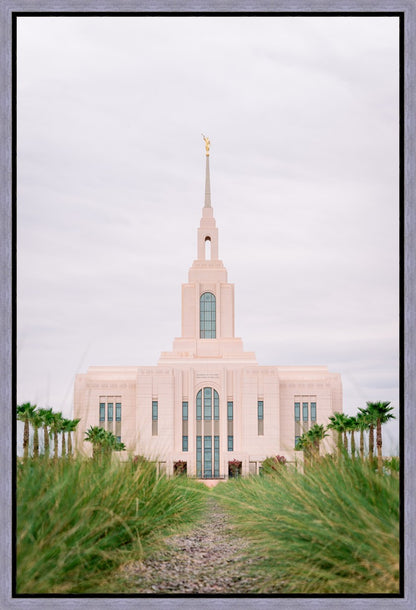 Red Cliffs Utah Palm Trees