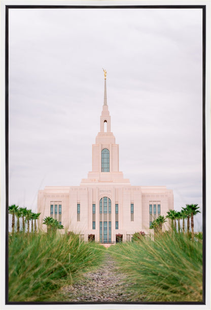 Red Cliffs Utah Palm Trees