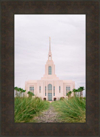 Red Cliffs Utah Palm Trees