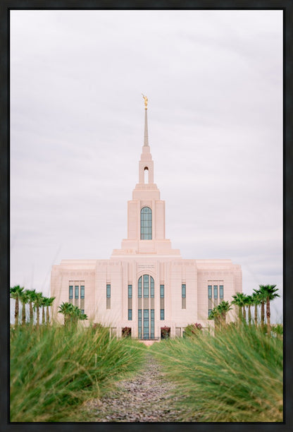 Red Cliffs Utah Palm Trees