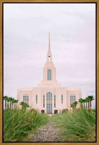 Red Cliffs Utah Palm Trees