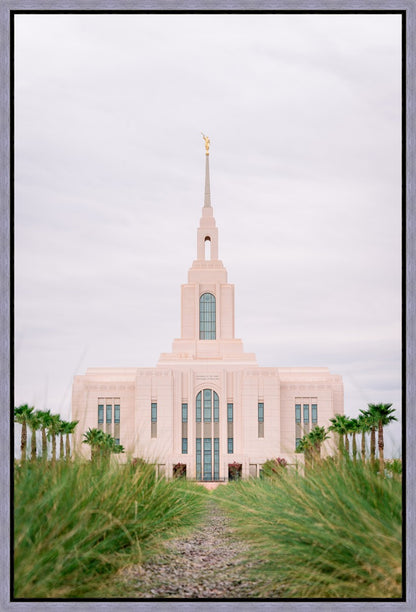 Red Cliffs Utah Palm Trees