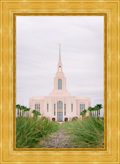 Red Cliffs Utah Palm Trees
