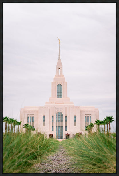 Red Cliffs Utah Palm Trees