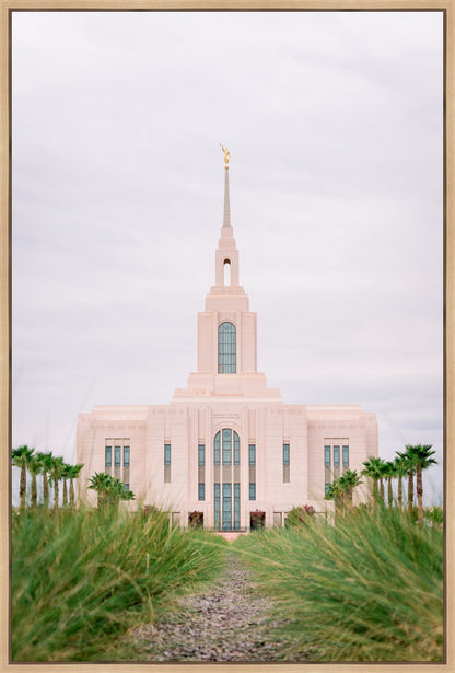 Red Cliffs Utah Palm Trees